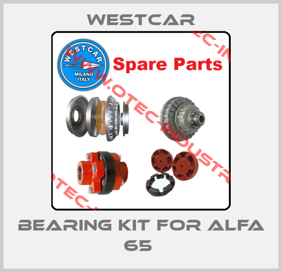 Bearing kit for Alfa 65 -big