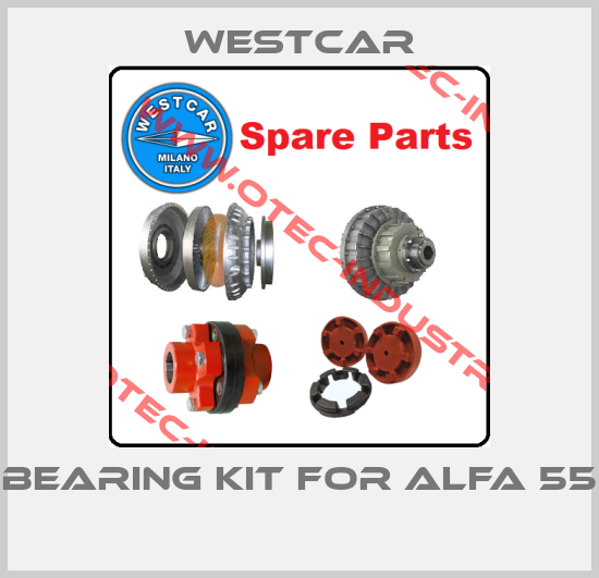 Bearing kit for Alfa 55 -big