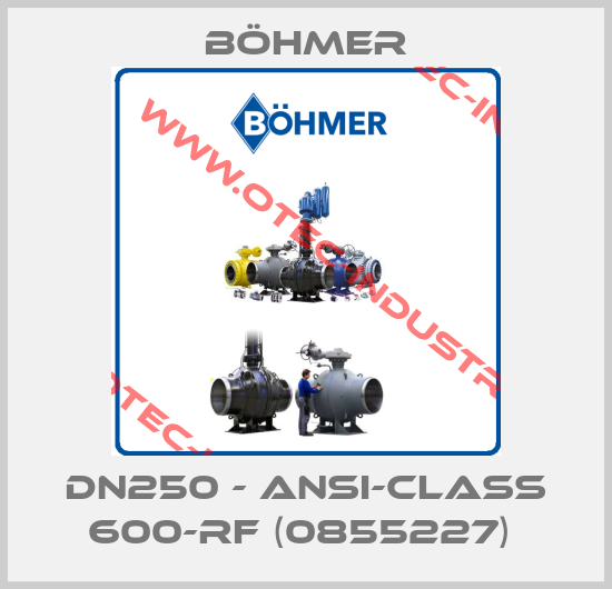DN250 - ANSI-CLASS 600-RF (0855227) -big