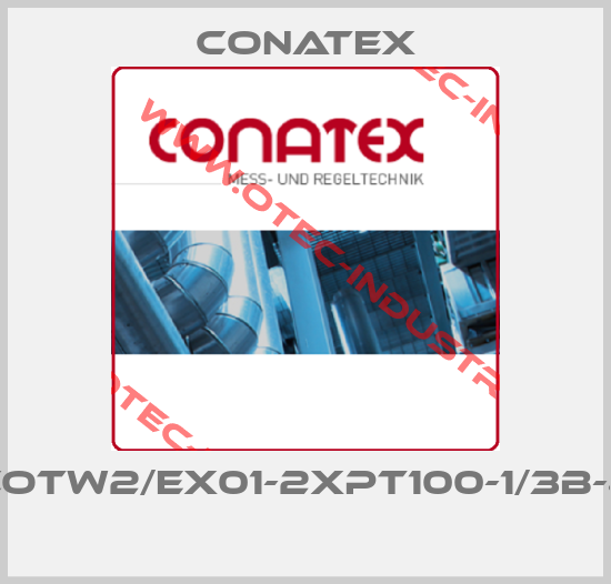 COTW2/Ex01-2xPt100-1/3B-4 -big