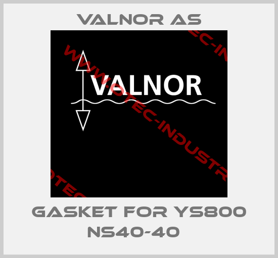 Gasket for YS800 NS40-40  -big