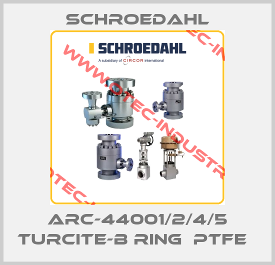 ARC-44001/2/4/5 TURCITE-B RING  PTFE  -big