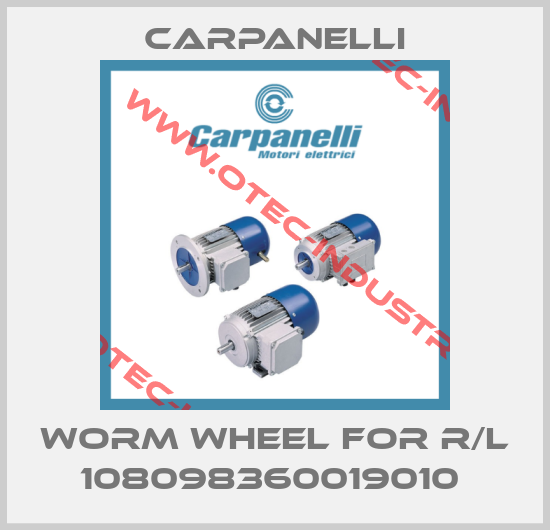 Worm wheel for R/L 108098360019010 -big