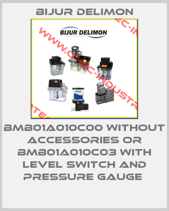 BMB01A010C00 WITHOUT ACCESSORIES OR BMB01A010C03 WITH LEVEL SWITCH AND PRESSURE GAUGE -big