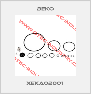 XEKA02001 -big
