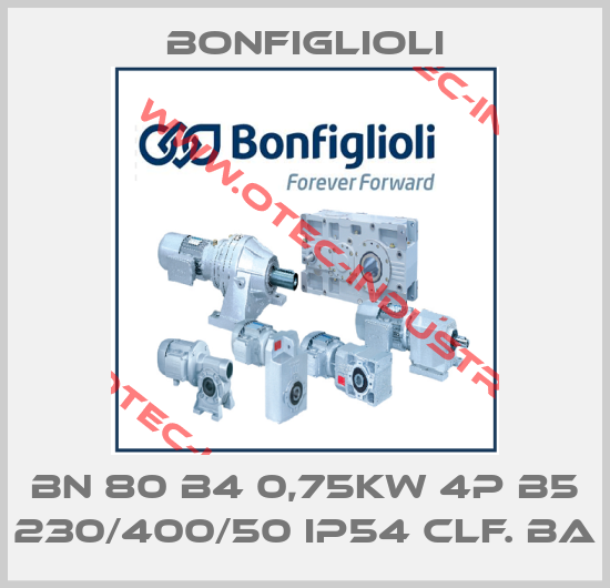 BN 80 B4 0,75KW 4P B5 230/400/50 IP54 CLF. BA-big
