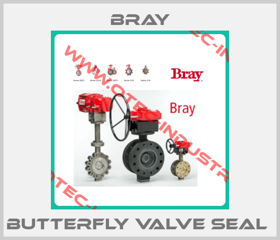 BUTTERFLY VALVE SEAL -big