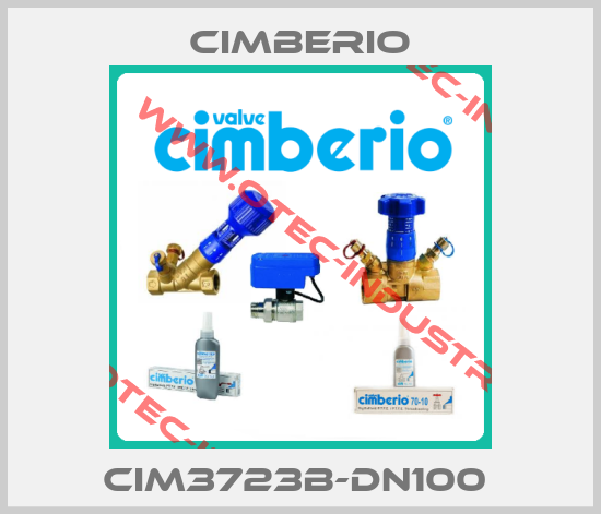 Cim3723B-DN100 -big