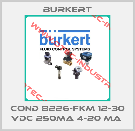 COND 8226-FKM 12-30 VDC 250MA 4-20 MA -big