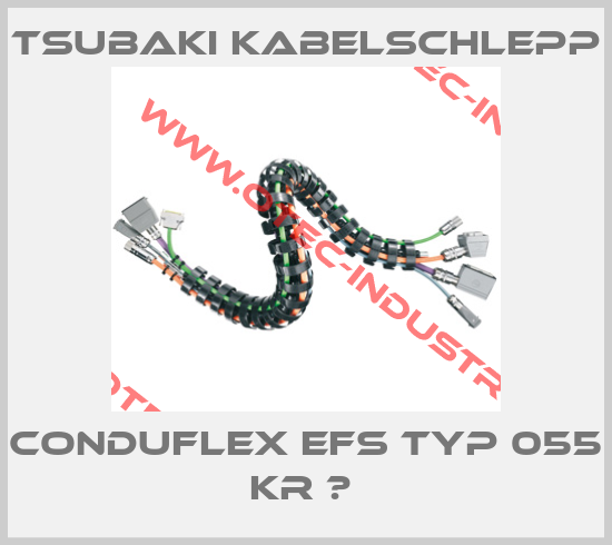 CONDUFLEX EFS TYP 055 KR ? -big