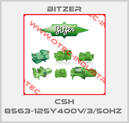 CSH 8563-125Y400V/3/50HZ -big