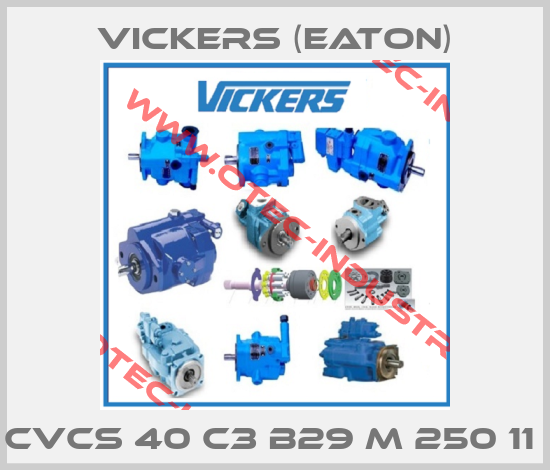 CVCS 40 C3 B29 M 250 11 -big