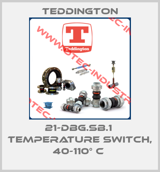 21-DBG.SB.1  Temperature Switch, 40-110° C -big