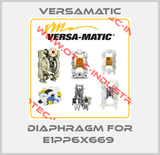 DIAPHRAGM FOR E1PP6X669 -big