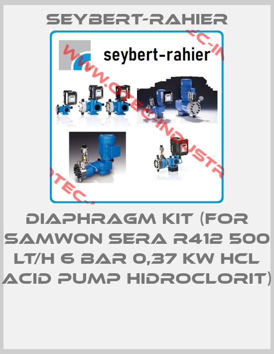 DIAPHRAGM KIT (FOR SAMWON SERA R412 500 LT/H 6 BAR 0,37 KW HCL ACID PUMP HIDROCLORIT) -big