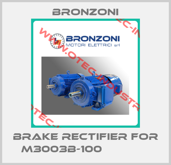 Brake rectifier for M3003B-100              -big