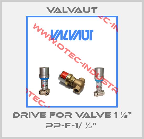 DRIVE FOR VALVE 1 ½“ PP-F-1/ ½“ -big