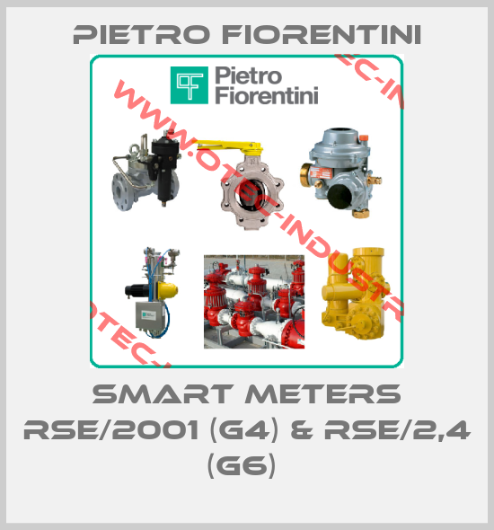 Smart Meters RSE/2001 (G4) & RSE/2,4 (G6) -big