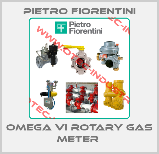 Omega VI Rotary Gas Meter -big