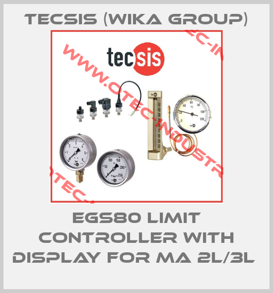 EGS80 Limit Controller with Display for mA 2L/3L -big