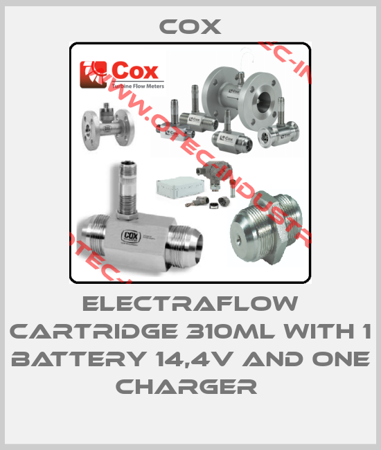 ELECTRAFLOW CARTRIDGE 310ML WITH 1 BATTERY 14,4V AND ONE CHARGER -big