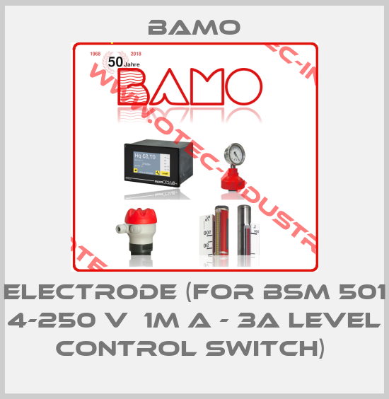 ELECTRODE (FOR BSM 501  4-250 V  1M A - 3A LEVEL CONTROL SWITCH) -big