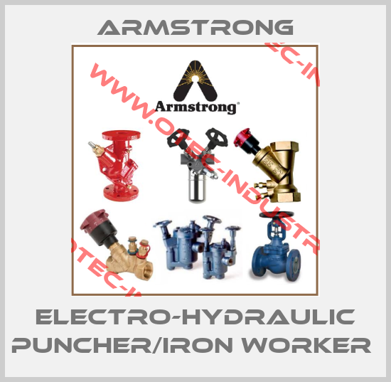 Electro-Hydraulic Puncher/Iron Worker -big