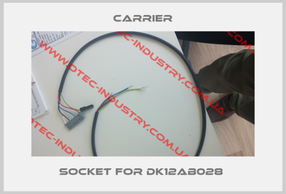 Socket for DK12AB028 -big