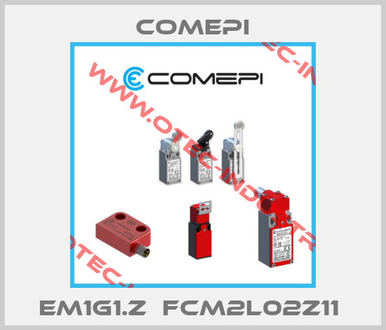 EM1G1.Z  FCM2L02Z11 -big