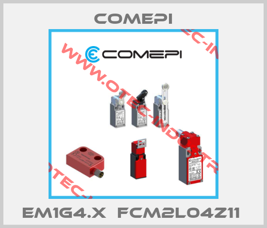 EM1G4.X  FCM2L04Z11 -big