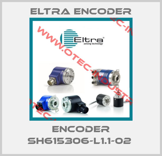 ENCODER SH615306-L1.1-02 -big