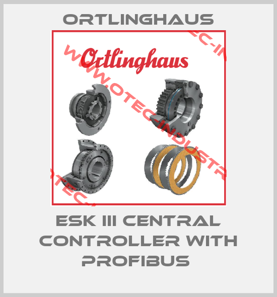 ESK III CENTRAL CONTROLLER WITH PROFIBUS -big