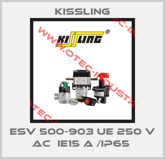ESV 500-903 UE 250 V AC  IE15 A /IP65 -big