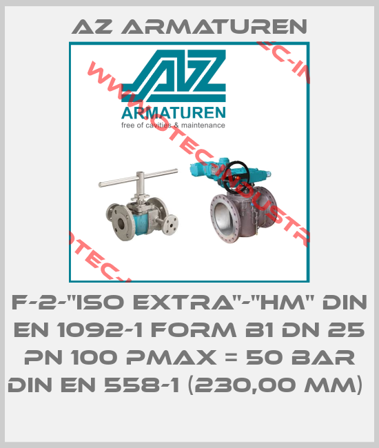 F-2-"ISO EXTRA"-"HM" DIN EN 1092-1 FORM B1 DN 25 PN 100 PMAX = 50 BAR DIN EN 558-1 (230,00 MM) -big
