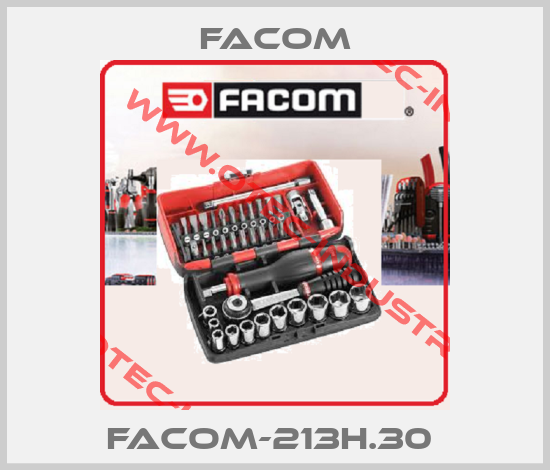 FACOM-213H.30 -big