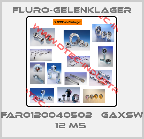 FAR0120040502   GAXSW 12 MS -big