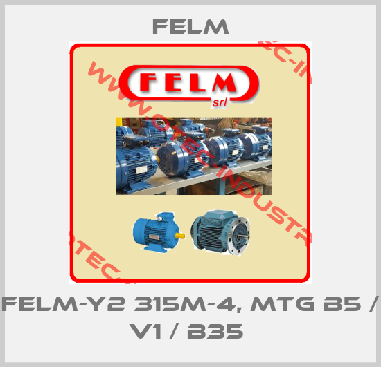 FELM-Y2 315M-4, MTG B5 / V1 / B35 -big