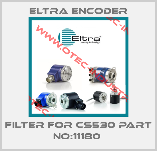 filter for CS530 Part No:11180 -big