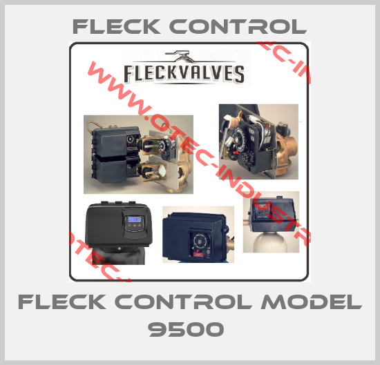 FLECK CONTROL MODEL 9500 -big