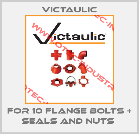 FOR 10 FLANGE BOLTS + SEALS AND NUTS -big