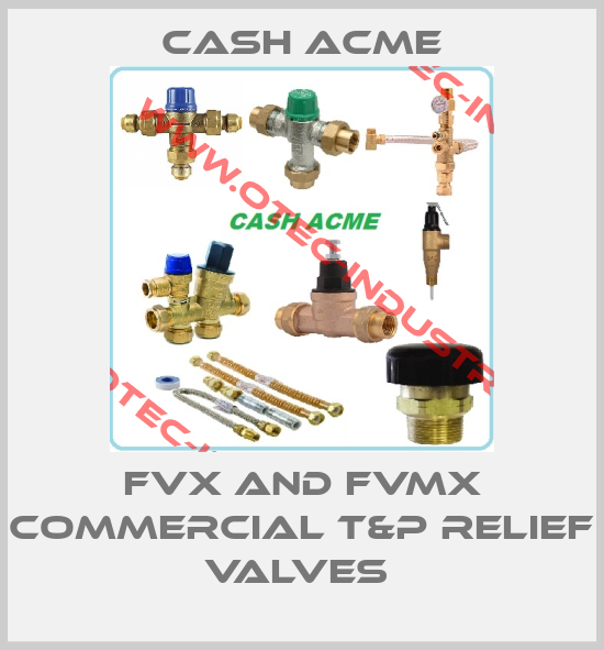 FVX AND FVMX COMMERCIAL T&P RELIEF VALVES -big
