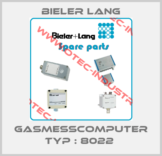 Gasmesscomputer Typ : 8022 -big