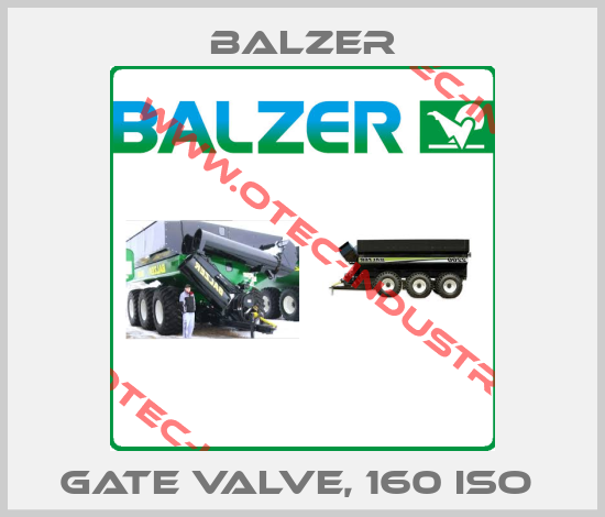 GATE VALVE, 160 ISO -big