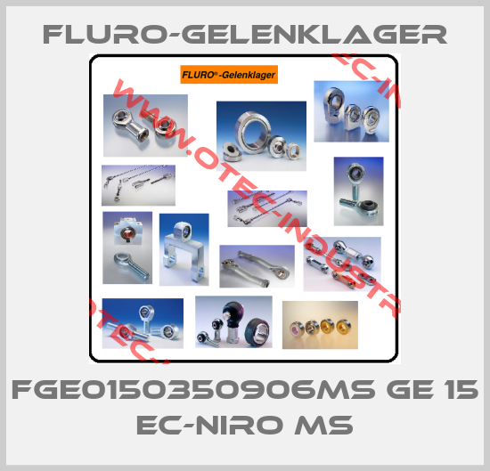 FGE0150350906MS GE 15 EC-NIRO MS-big
