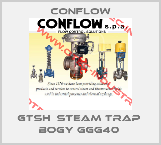 GTSH  STEAM TRAP  BOGY GGG40 -big