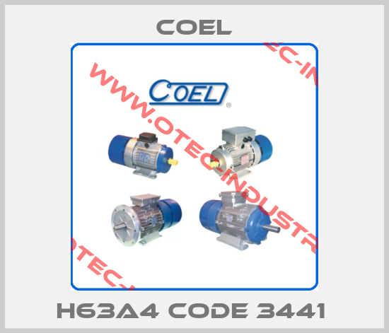 H63A4 CODE 3441 -big