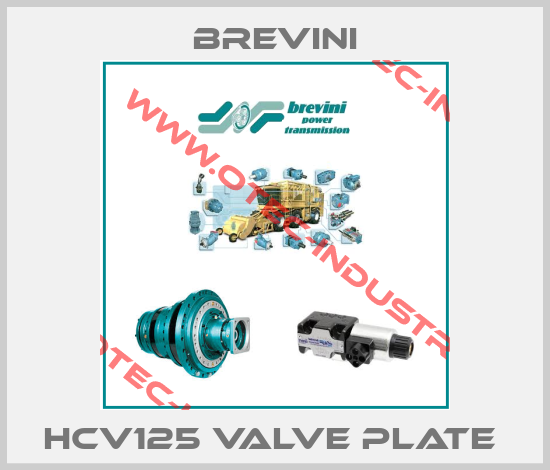HCV125 VALVE PLATE -big