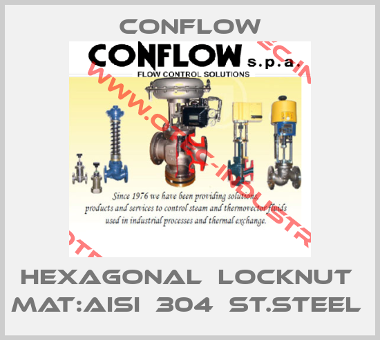HEXAGONAL  LOCKNUT  MAT:AISI  304  ST.STEEL -big