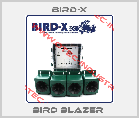 Bird BLazer -big
