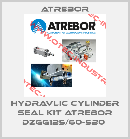 HYDRAVLIC CYLINDER SEAL KIT ATREBOR DZGG125/60-520 -big